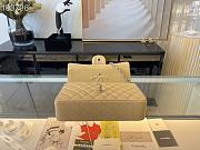 Chanel Medium Classic Flap Bag In Beige A58600 Size 25.5cm - 3