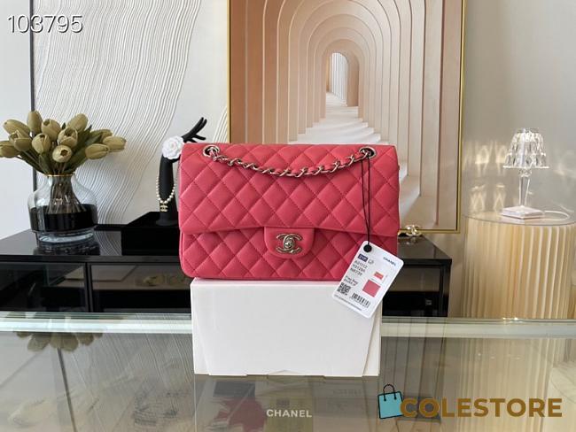 Chanel Medium Classic Flap Bag In Pink A58600 Size 25.5cm - 1