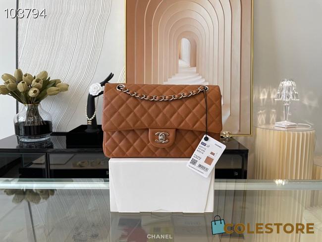 Chanel Medium Classic Flap Bag In Brown A58600 Size 25.5cm - 1