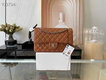 Chanel Medium Classic Flap Bag In Brown A58600 Size 25.5cm