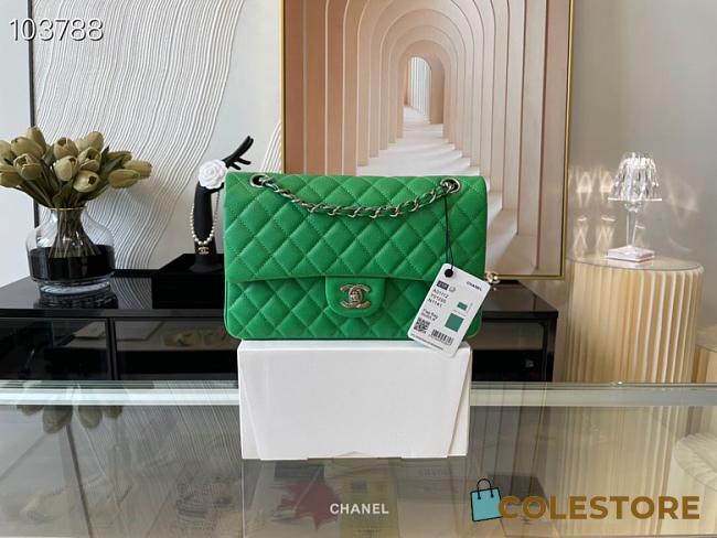 Chanel Medium Classic Flap Bag In Green A58600 Size 25.5cm - 1