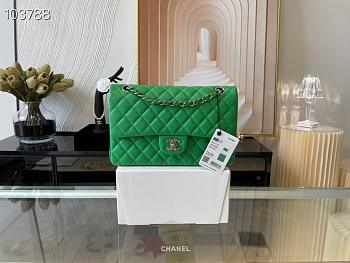 Chanel Medium Classic Flap Bag In Green A58600 Size 25.5cm