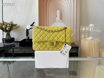 Chanel Medium Classic Flap Bag In Light Yellow A58600 Size 25.5cm