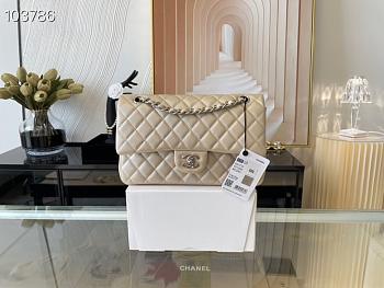 Chanel Medium Classic Flap Bag A58600 Size 25.5cm