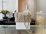 Chanel Medium Classic Flap Bag A58600 Size 25.5cm - 2