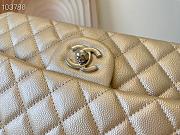 Chanel Medium Classic Flap Bag A58600 Size 25.5cm - 5