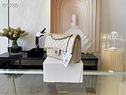 Chanel Medium Classic Flap Bag A58600 Size 25.5cm - 6