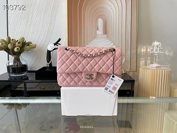 Chanel Medium Classic Flap Bag In Light Pink A58600 Size 25.5cm