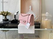 Chanel Medium Classic Flap Bag In Light Pink A58600 Size 25.5cm - 2