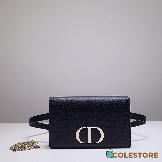 Dior Montaigne WOC Calfskin 9909 Size 19x12.5x4cm - 1
