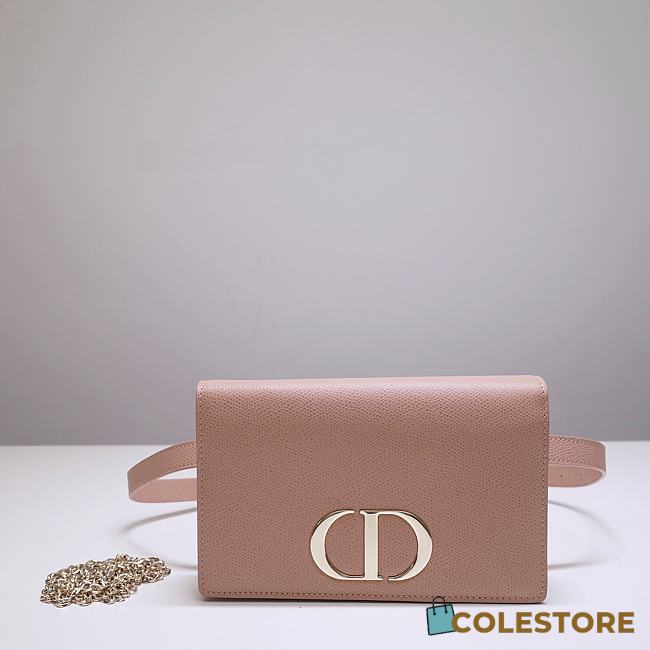 Dior Montaigne WOC With Beige Calfskin 9909 Size 19x12.5x4cm - 1