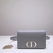 Dior Montaigne WOC With Grey Calfskin 9909 Size 19x12.5x4cm - 1
