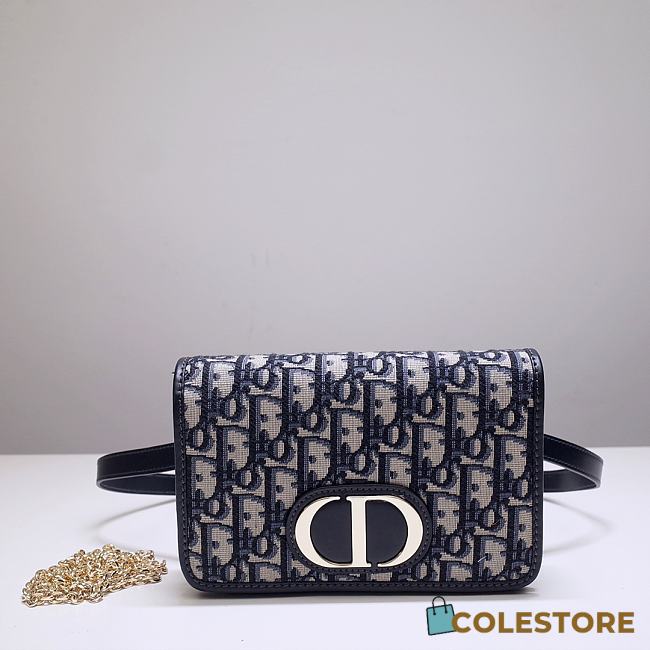 Dior Montaigne Blue Oblique Jacquard 9909 Size 19x12.5x4cm - 1
