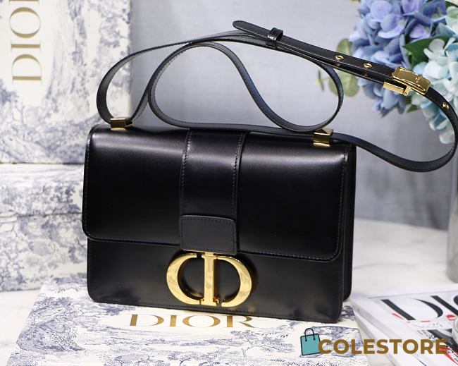 Dior Montaigne WOC With Beige Calfskin M9030 Size: 24x17x8cm - 1