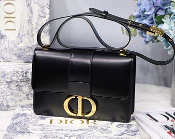 Dior Montaigne WOC With Beige Calfskin M9030 Size: 24x17x8cm