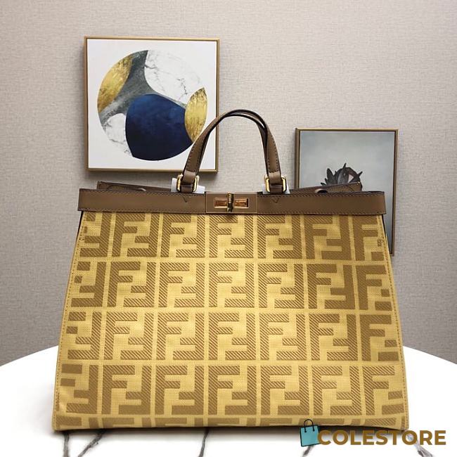 fendi canvas peekaboo