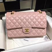 Chanel Classic Flap Bag Golden Chain In Pink Size 25cm - 1