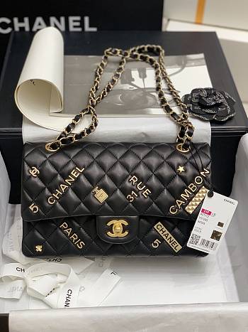 Chanel 21 Iconic Flap Bag Size 25cm