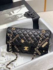 Chanel 21 Iconic Flap Bag Size 25cm - 6