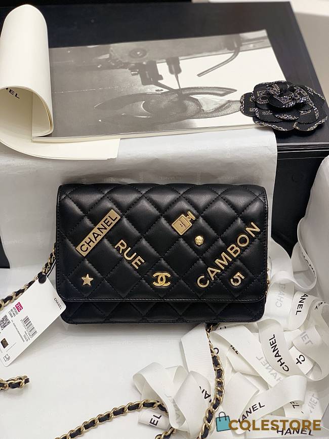 Chanel 21 WOC Letter Hardware Size 19.5cm - 1