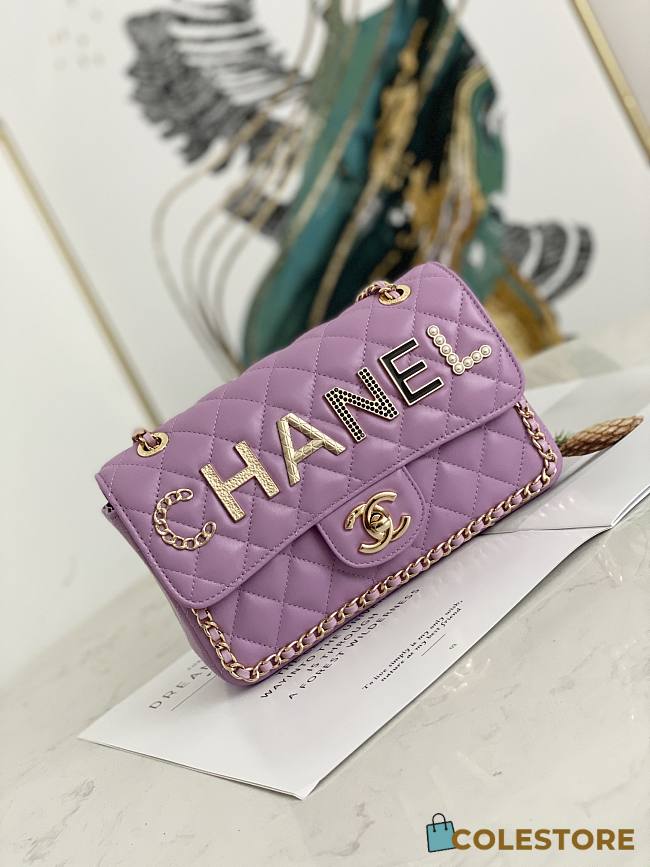 Chanel Medium Iconic Flap Bag Logo 9913 Size 23x14x7cm - 1