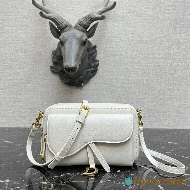 Dior Saddle Pouch In White Calfskin S5620 Size 19x10.5x5cm - 1