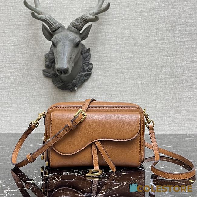 Dior Saddle Pouch In Brown Calfskin S5620 Size 19x10.5x5cm - 1