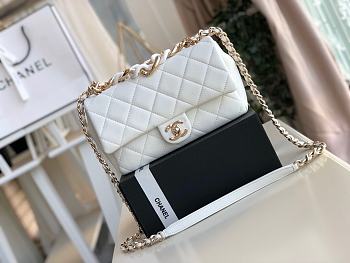 Chanel Elegant Resin Double Chain Flap Bag Size 16x24x6cm