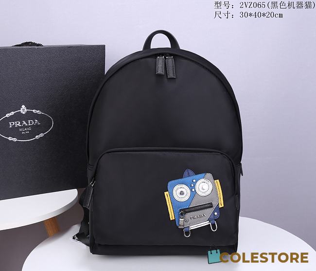 Prada Backpack 2VZ065  - 1