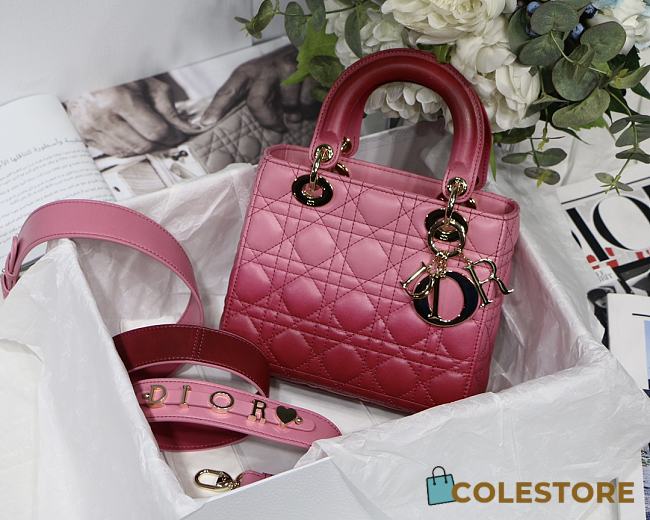 Lady Dior My ABC Pink Gradient Cannage Lambskin M0538 Size 20cm - 1
