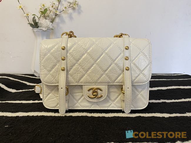 Chanel Aged Calfskin & Gold-tone Metal Handbag White 17x25x8cm  - 1