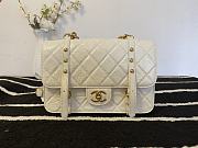 Chanel Aged Calfskin & Gold-tone Metal Handbag White 17x25x8cm  - 1