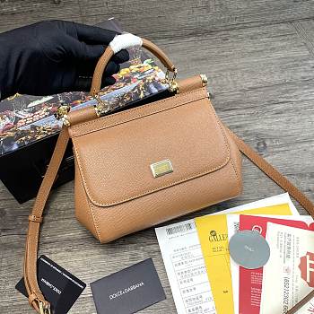 Dolce & Gabbana Sicily Tote Bag In Brown BB623 Size 20x9.5x14cm
