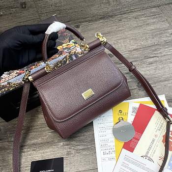Dolce & Gabbana Sicily Tote Bag In Wine BB623 Size 20x9.5x14cm