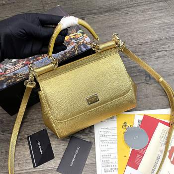 Dolce & Gabbana Sicily Tote Bag In Gold BB623 Size 20x9.5x14cm