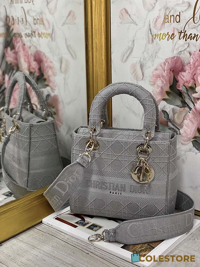 Dior Medium Lady D-Lite Handbag Cane Embroidery In Grey Gold Buckle 24cm - 1