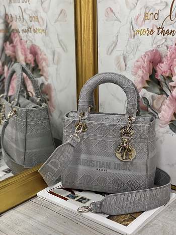 Dior Medium Lady D-Lite Handbag Cane Embroidery In Grey Gold Buckle 24cm