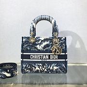 Dior Medium Lady D-Lite Coconut Grove Handbag M0565 Size 24x20x11cm - 1