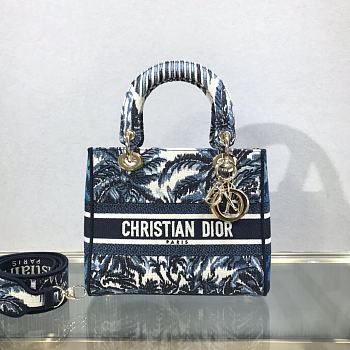 Dior Medium Lady D-Lite Coconut Grove Handbag M0565 Size 24x20x11cm