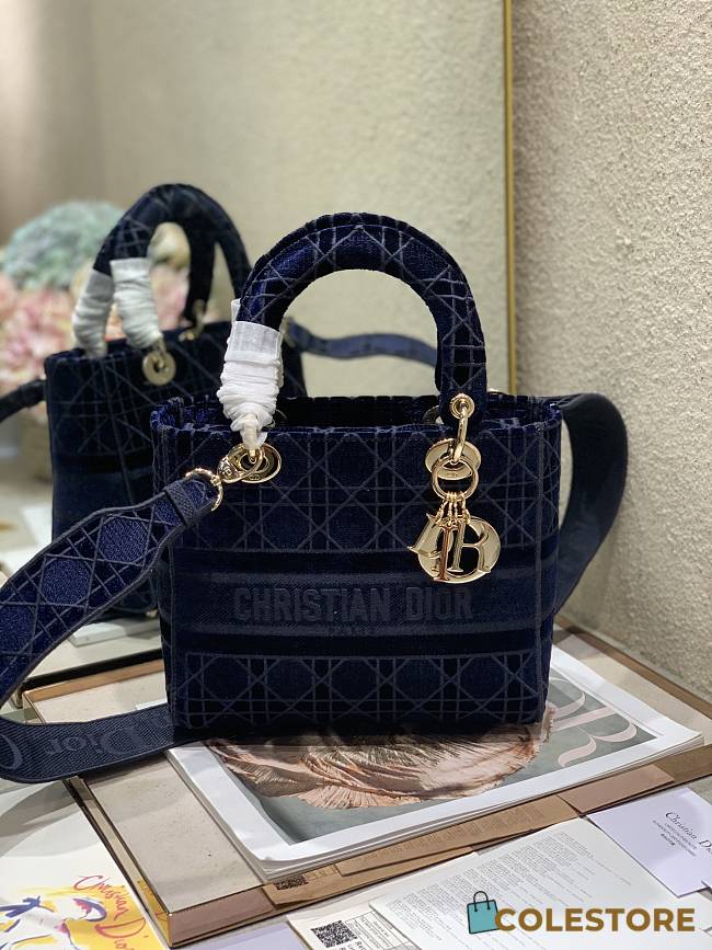 Dior Medium Lady D-Lite Handbag Cane Embroidery In Blue Gold Buckle 24cm - 1