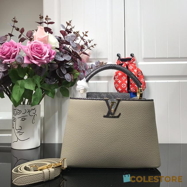 Louis Vuitton Capucine BB In Grey Taurillon Leather 27cm - 1