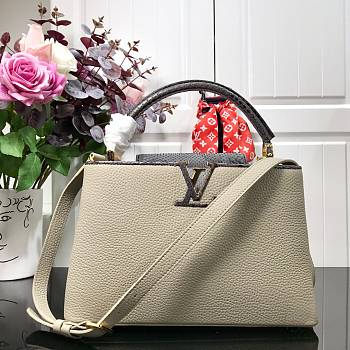 Louis Vuitton Capucine In Grey Python Hand Bag M48865 Size: 31x20x11cm