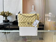Chanel Classic Flap Bag Calfskin Quilted Leather Size 25.5cm - 1