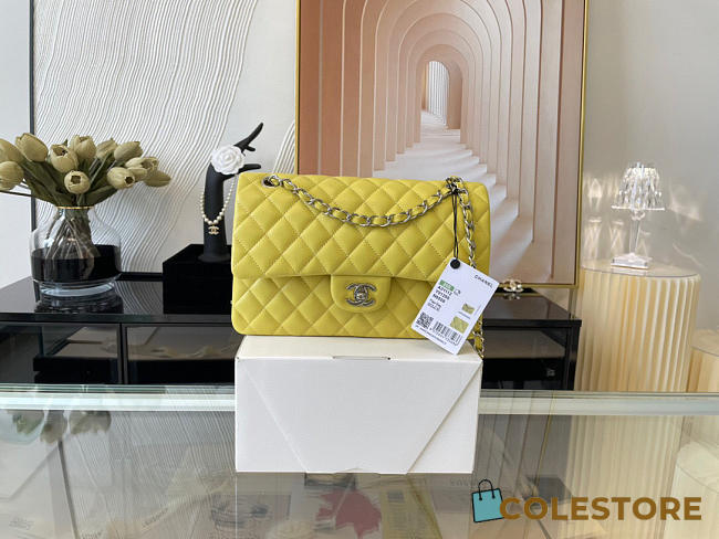 Chanel Classic Flap Bag In Yellow Calfskin Quilted Leather Size 25.5cm - 1