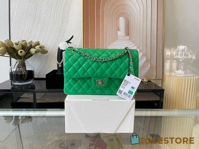 Chanel Classic Flap Bag In Green Calfskin Quilted Leather Size 25.5cm - 1