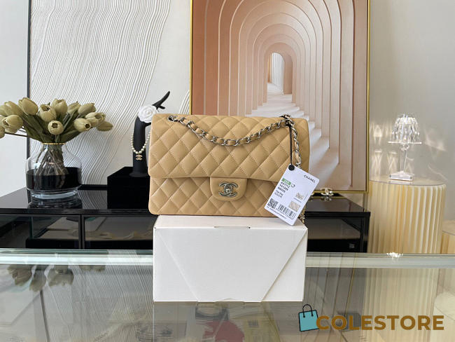Chanel Classic Flap Bag In Beige Calfskin Quilted Leather Size 25.5cm - 1