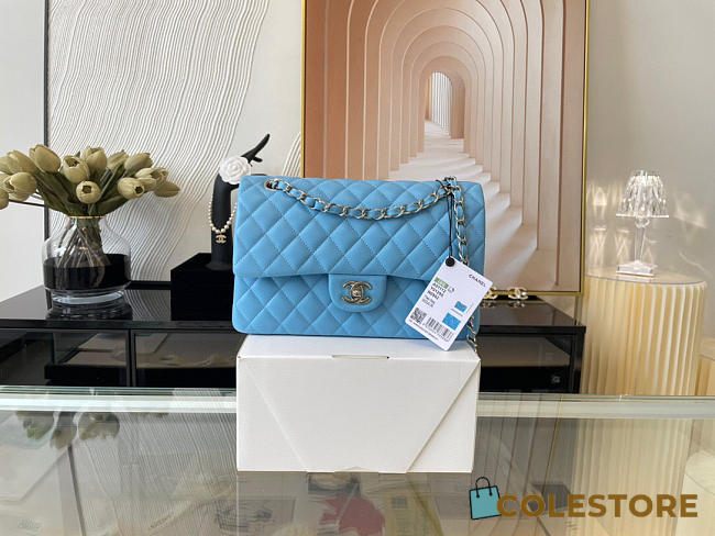 Chanel Classic Flap Bag In Blue Calfskin Quilted Leather Size 25.5cm - 1