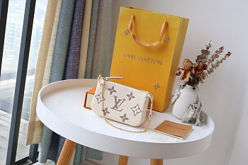 Louis Vuitton Mini Pochette Accessoires In White M80501 Size 15.5x10.5x4cm