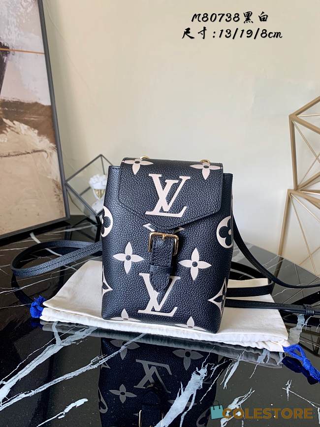 Louis Vuitton Tiny backpack (M80738)