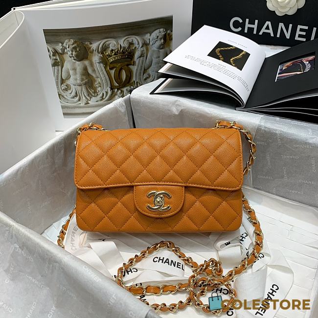 Chanel Classic Double Classic Caviar Calfskin In Brown Size 20cm - 1